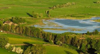 A small lake surrounded by green fields, scattered trees, and a few farm buildings under sunlight.