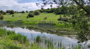 A riverside scene with clouds and sky reflected in the water.