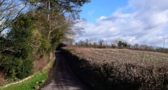 lane and hedges