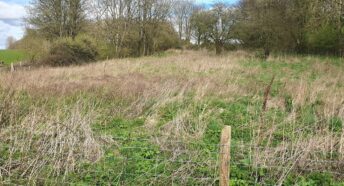 Dorset CPRE seeks sponsorship to plant hundreds of trees for centenary at Kingston Maurward, Dorchester