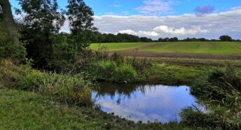 beautiful landscape with green fields, trees and a pond