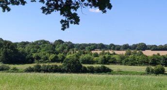 beautiful green landscape with grassy fields, hedgerows and woodland