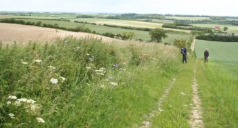 two walkers alongside a hedgerow, with other hedgerows visible across several distant fields