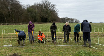 volunteers laying out a hedgeline on a blustery winter day