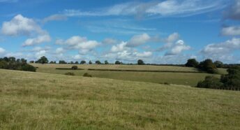 green grassy fields and undulating hills on a sunny day