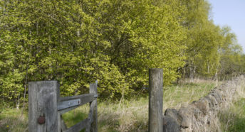 Woodland planted in memory of Gerald and Ethel Haythornthwaite