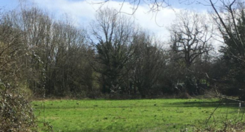 Image of 23 Stokes Field new village green. Image of open feild with green grass and enclosed by trees. The trees are mostly bare and blue sky and light cloud can be seen in the background.