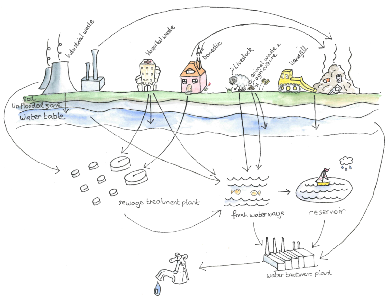 Hormones… the menace in our water CPRE Kent