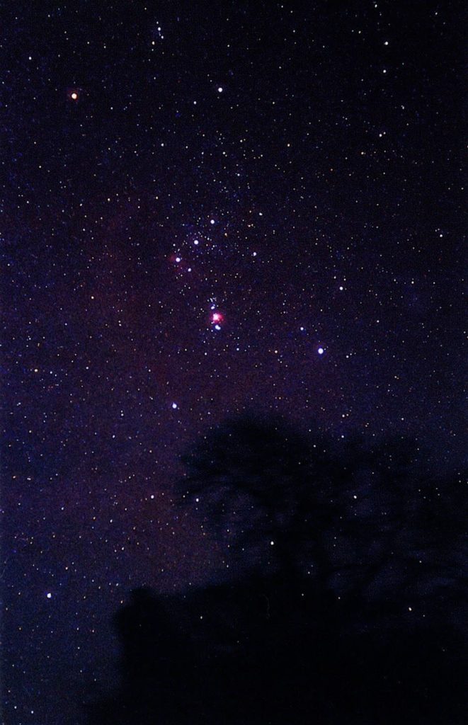 A clear view of Orion