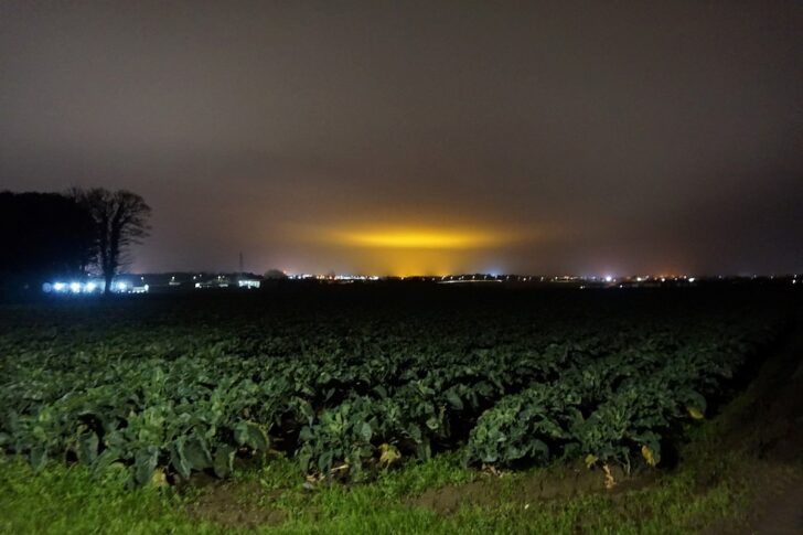 Orange mushroom cloud over a field