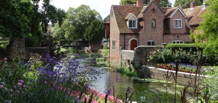 Cottage flowers in the foreground with a small river running through in the background